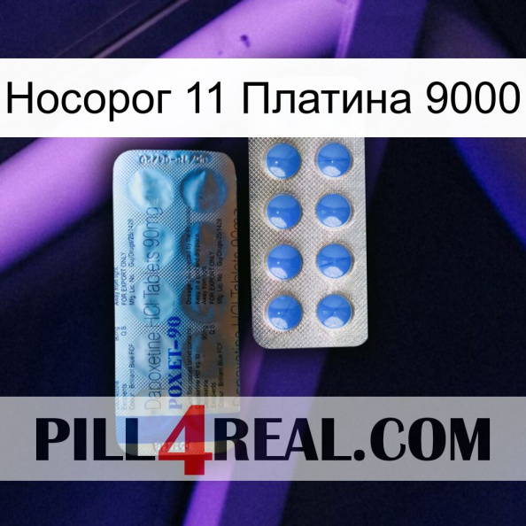 Носорог 11 Платина 9000 40.jpg